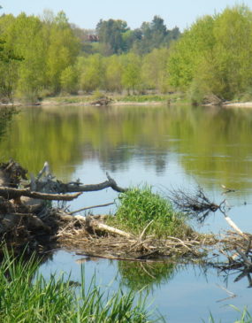 Réserve Naturelle du Val d'Allier © LPO