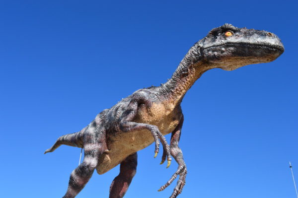 La Colline aux dinosaures © Paléopolis