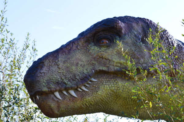 La Colline aux dinosaures © Paléopolis