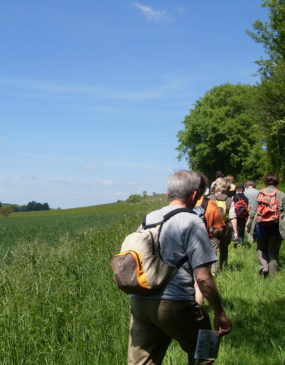 Randonnée en Val de Sioule © OT Val de Sioule