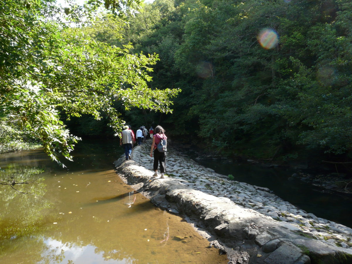 Les Gorges de la Bouble © OT Val de Sioule