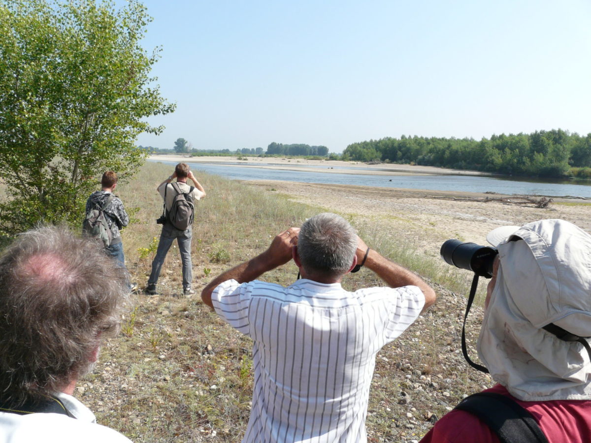 Réserve Naturelle du Val d'Allier © LPO