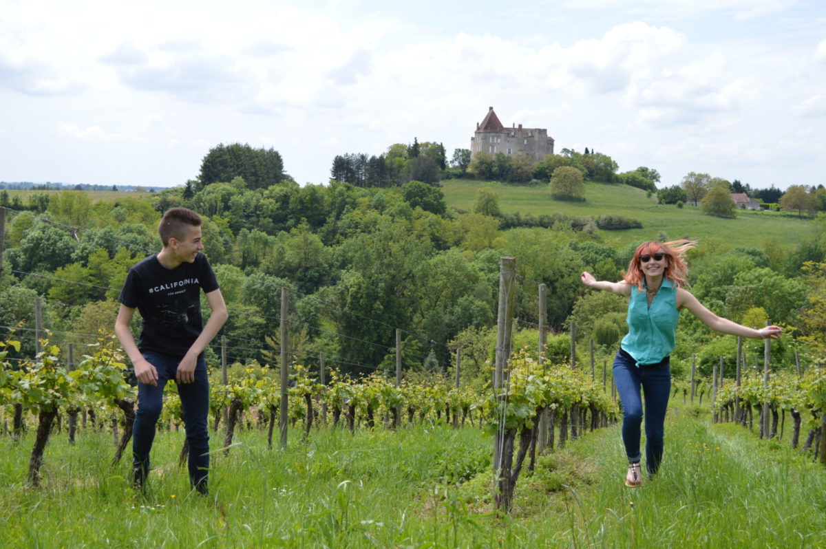 Vignoble de Saint-Pourçain © OT Val de Sioule