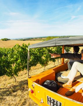 En Méhari au coeur du vignoble © F. Lacombe