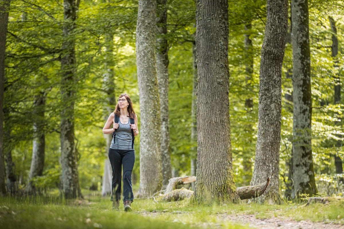 Forêt des Colettes © Prod'03