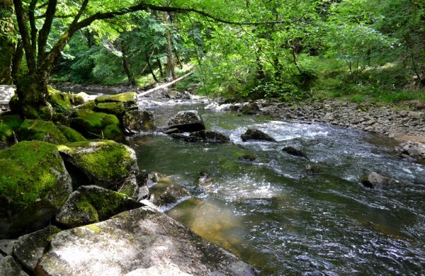 Along the Gorges de la Bouble