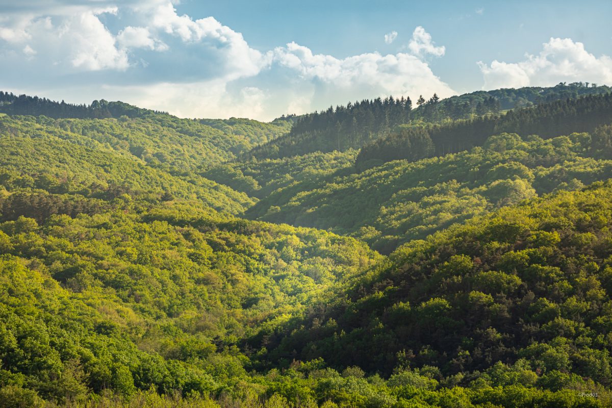 Les Gorges de la Sioule © Prod'03