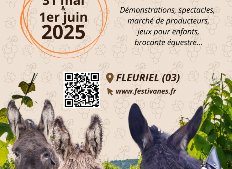 28790421-diaporama