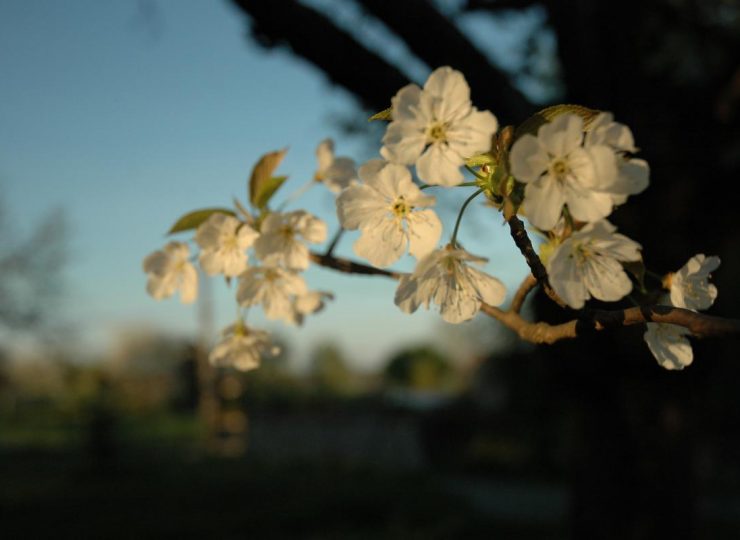 30228222-diaporama