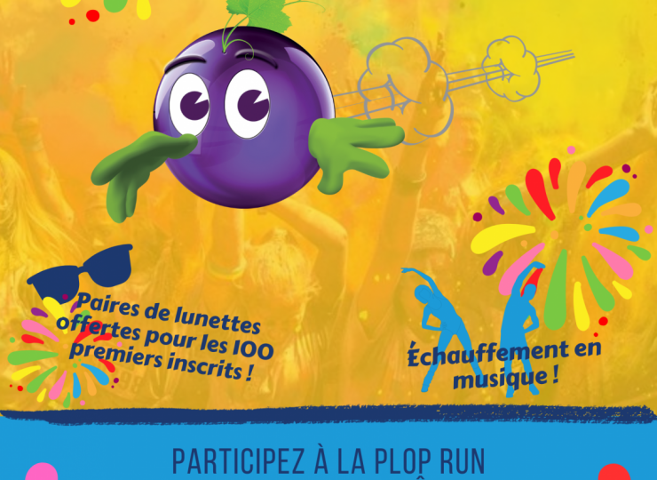 31108339-diaporama
