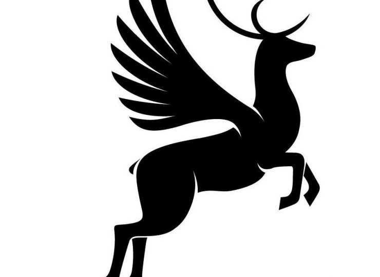 34624239-diaporama