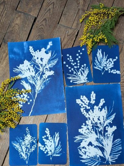 Zig Zag – Boutique de créateurs_Charroux