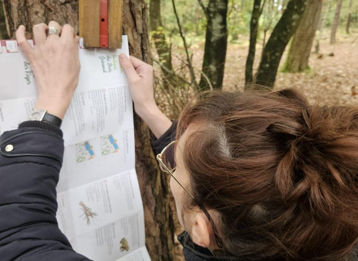 Orienteering_Bellenaves