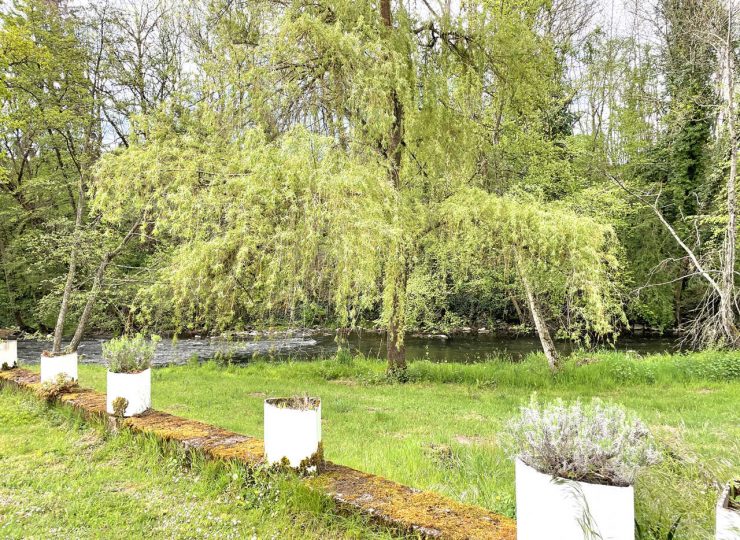 38669115-diaporama