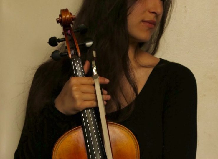 39816673-diaporama